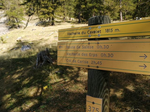IMG 20200917 111932 Small
