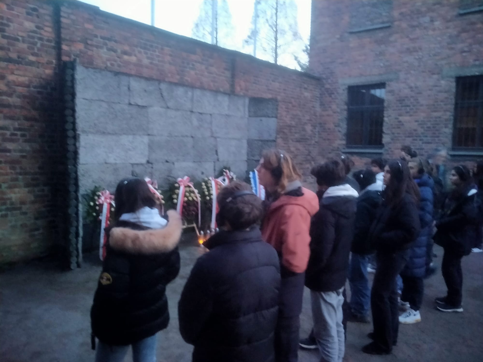 WhatsApp Image 2026 02 12 at 08.05.401