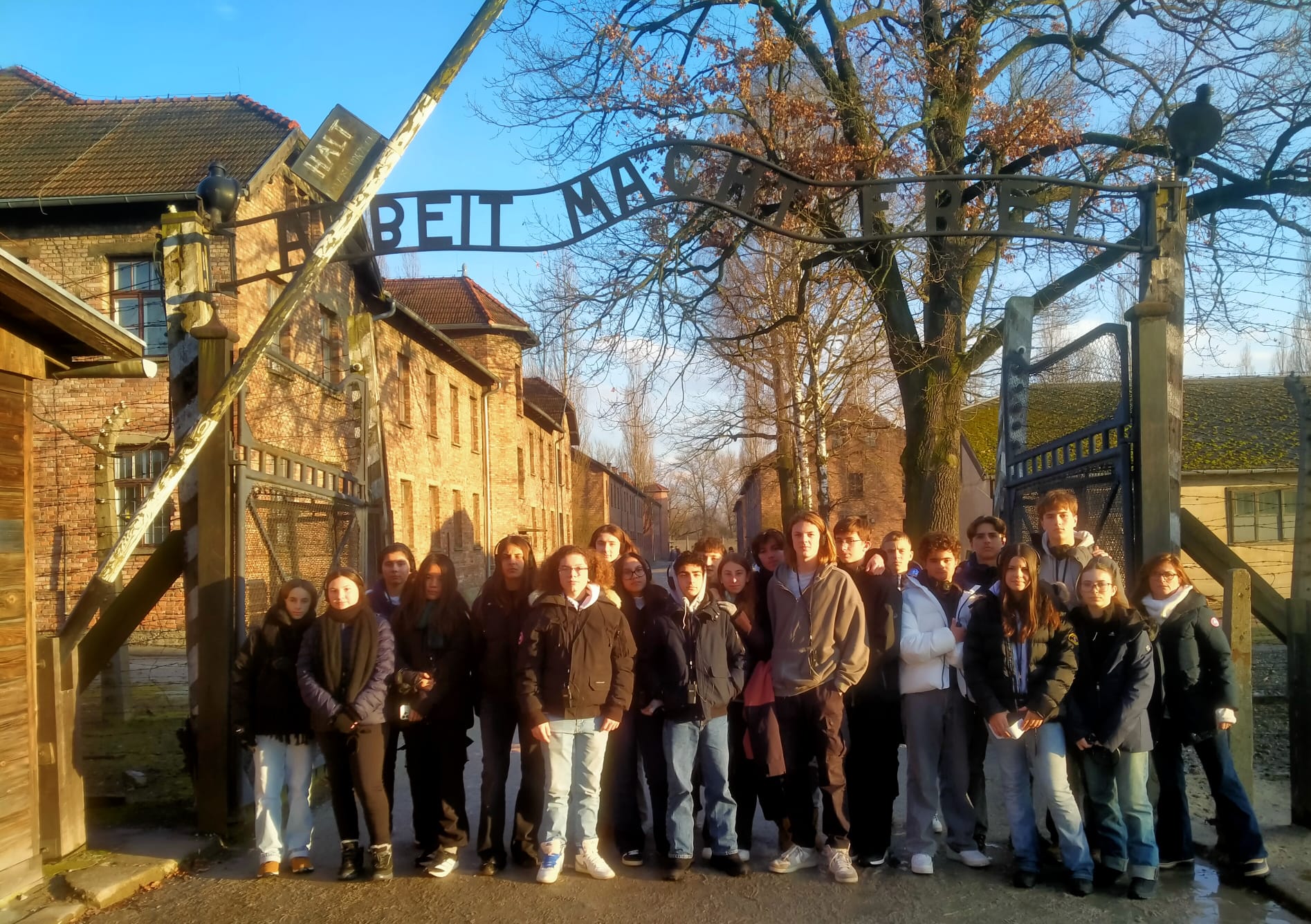 WhatsApp Image 2026 02 12 at 08.05.42